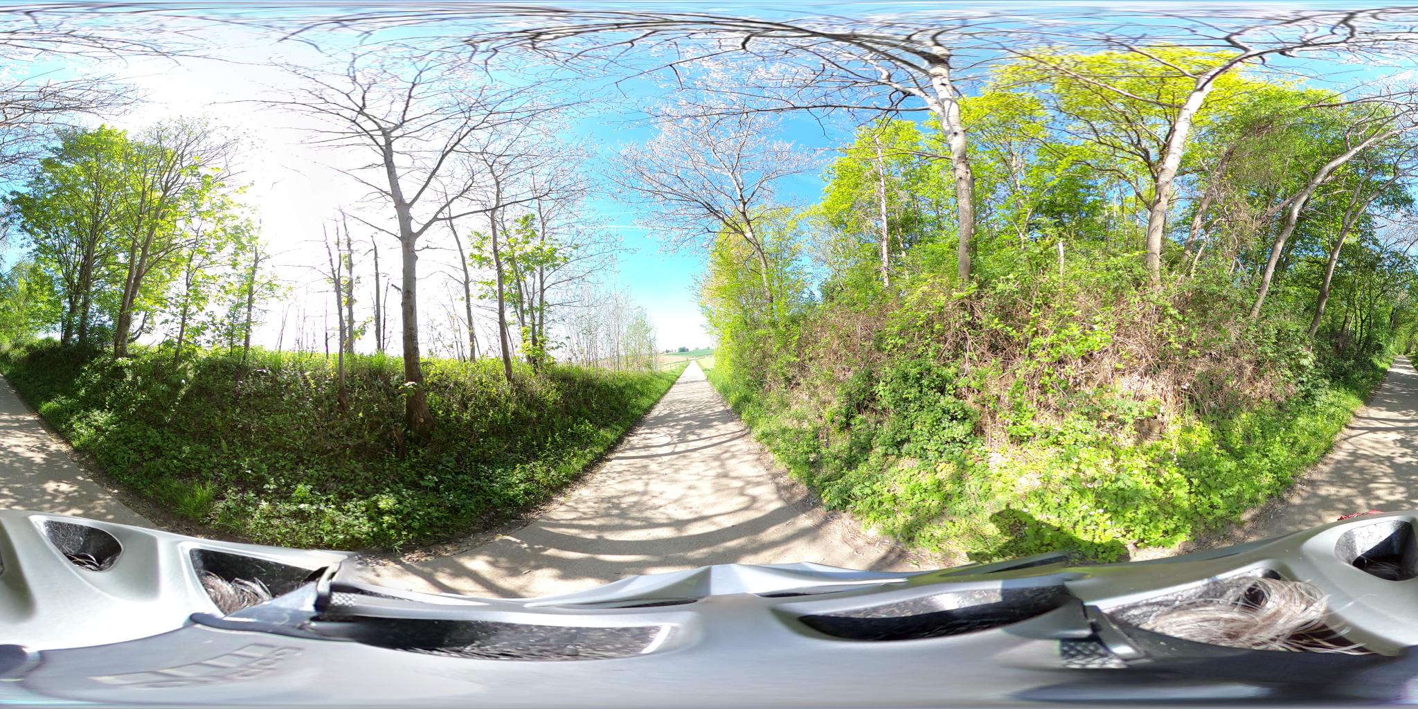 Foret de Bettincourt, coin nature